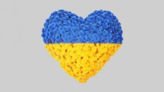 Solidarité internationale ...